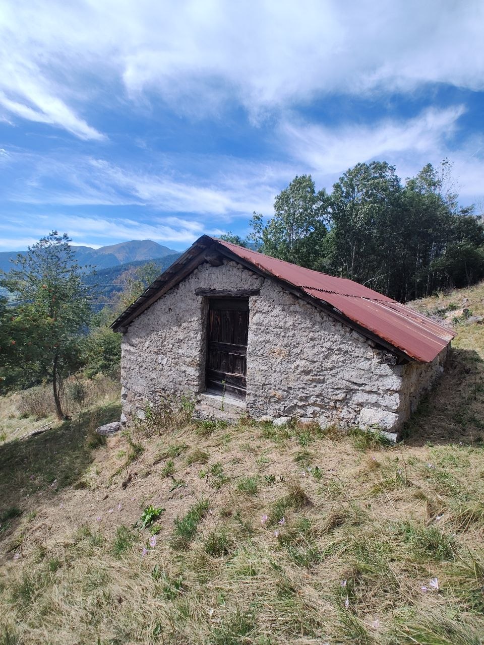 **PONTE DI LEGNO-TEMÙ A POCHI KM VENDO CASCINA DA RISTRUTTURARE**
